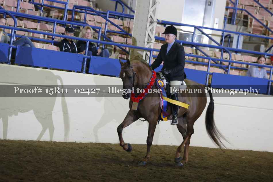 Proof Number 15R11_02427