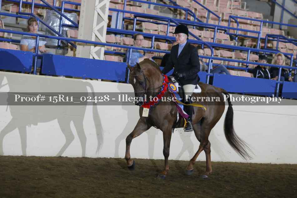 Proof Number 15R11_02428