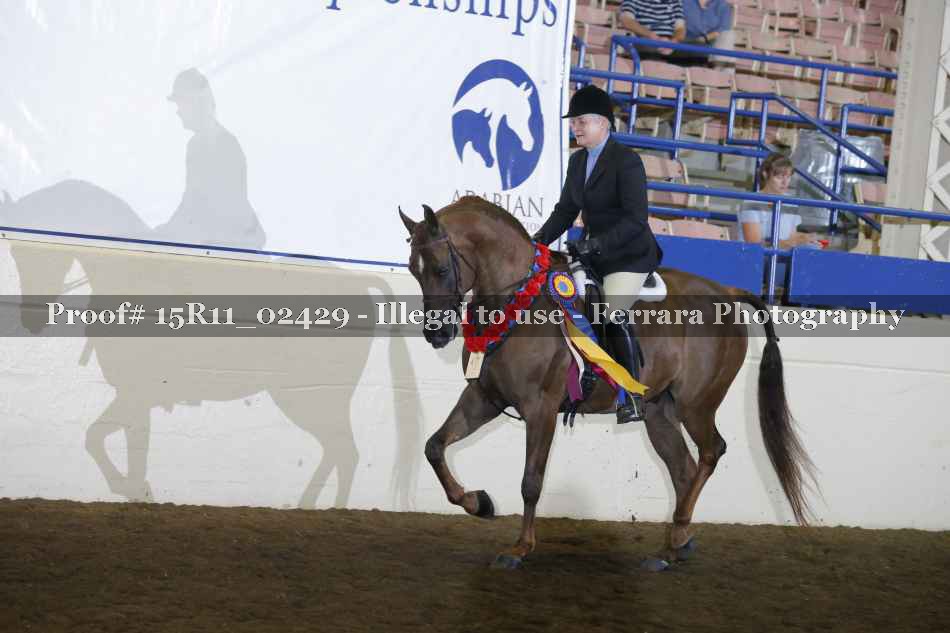 Proof Number 15R11_02429