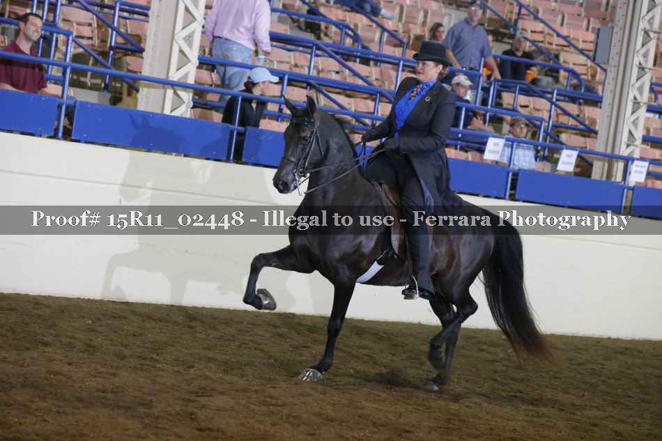 Proof Number 15R11_02448