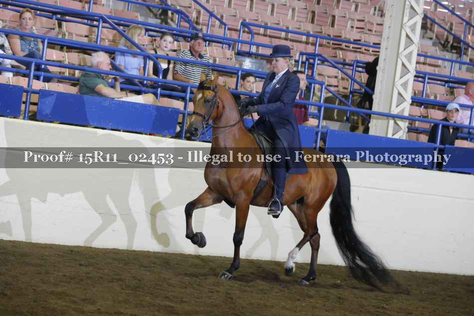Proof Number 15R11_02453