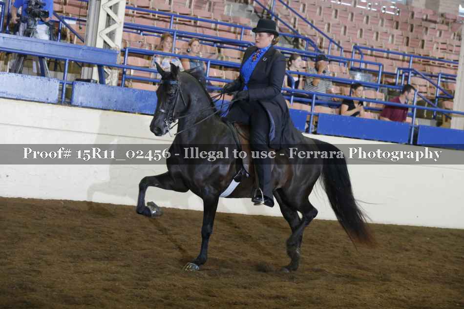 Proof Number 15R11_02456