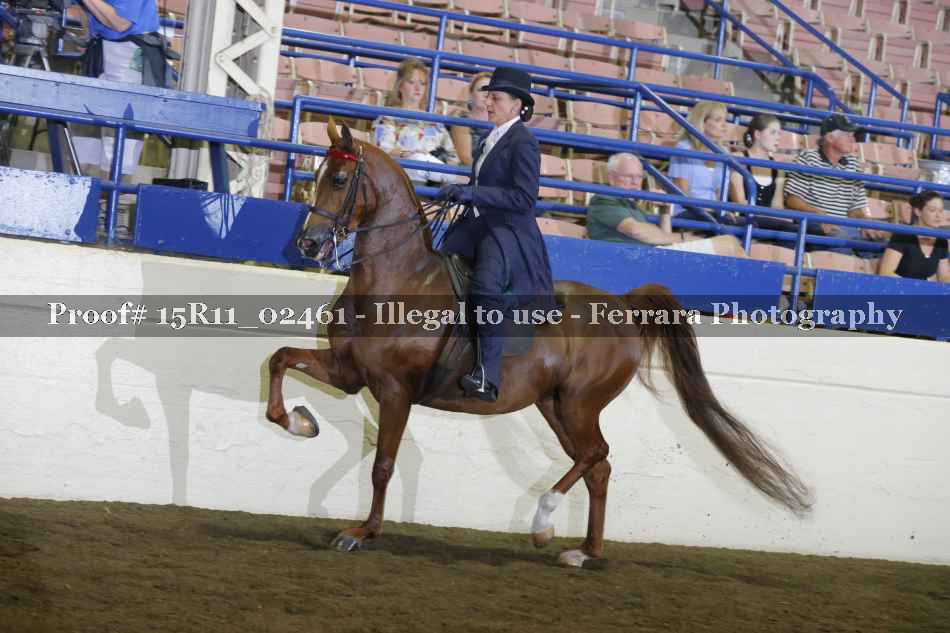 Proof Number 15R11_02461