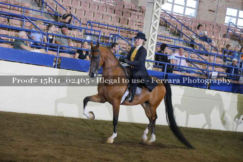 Proof Number 15R11_02465