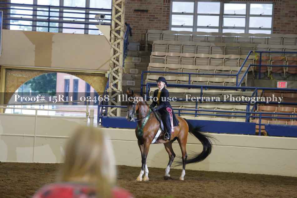 Proof Number 15R11_02468