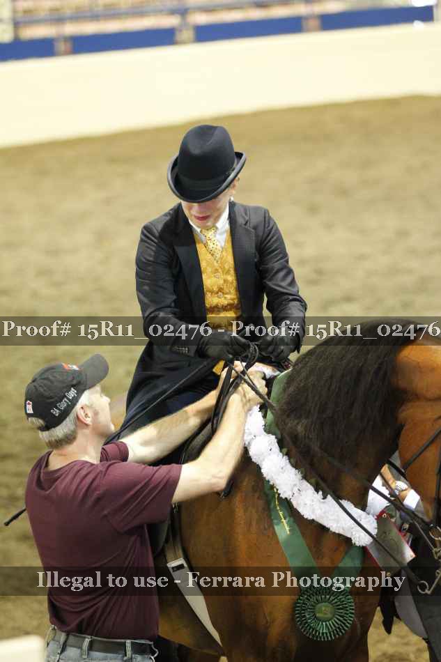 Proof Number 15R11_02476