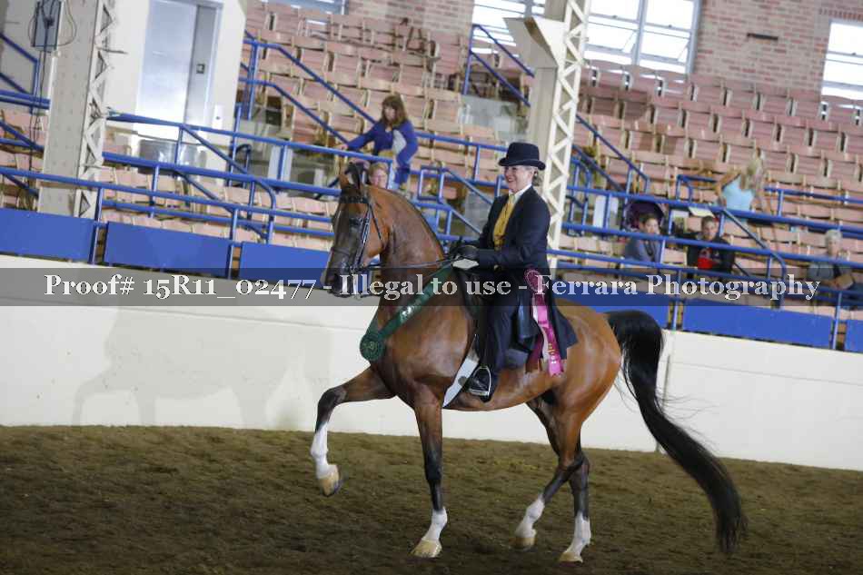 Proof Number 15R11_02477