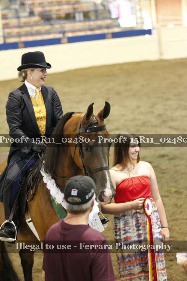 Proof Number 15R11_02480
