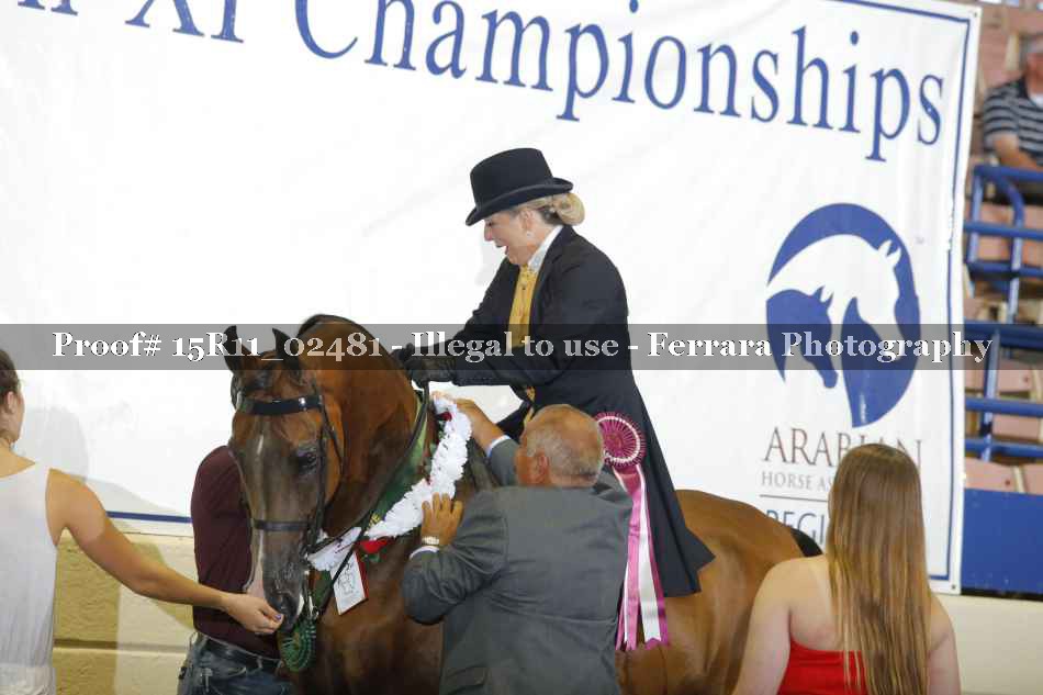 Proof Number 15R11_02481