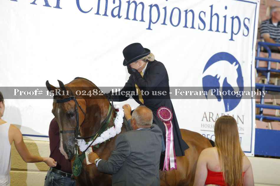 Proof Number 15R11_02482