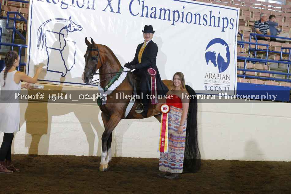 Proof Number 15R11_02485