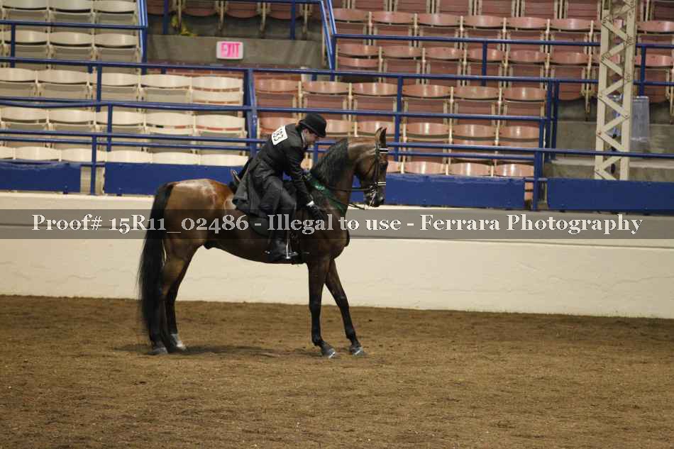 Proof Number 15R11_02486