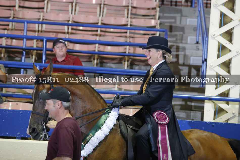 Proof Number 15R11_02488