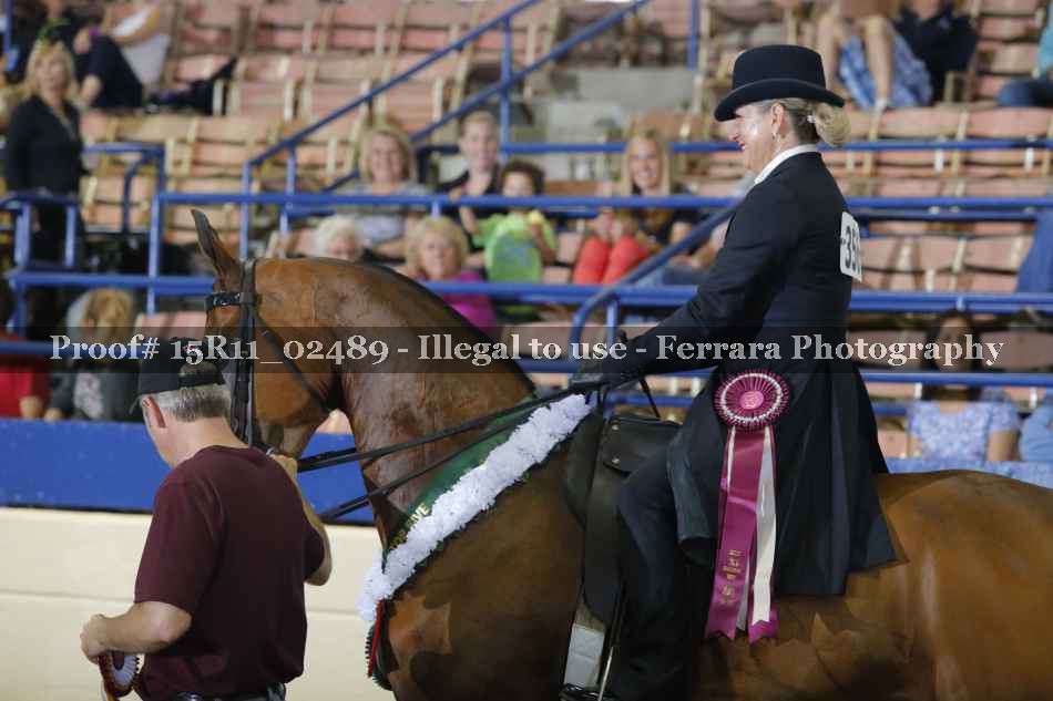 Proof Number 15R11_02489