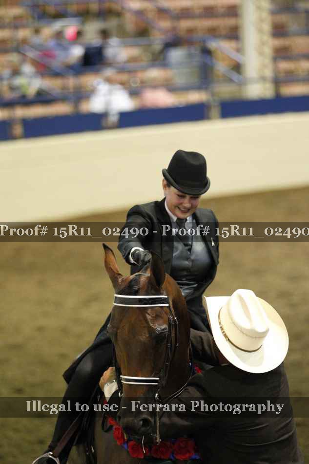 Proof Number 15R11_02490