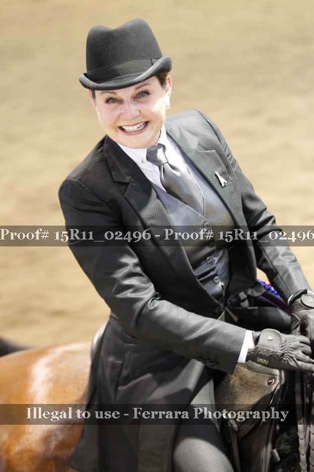 Proof Number 15R11_02496