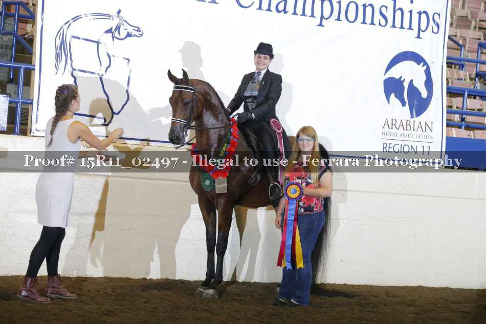 Proof Number 15R11_02497