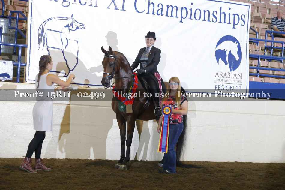 Proof Number 15R11_02499