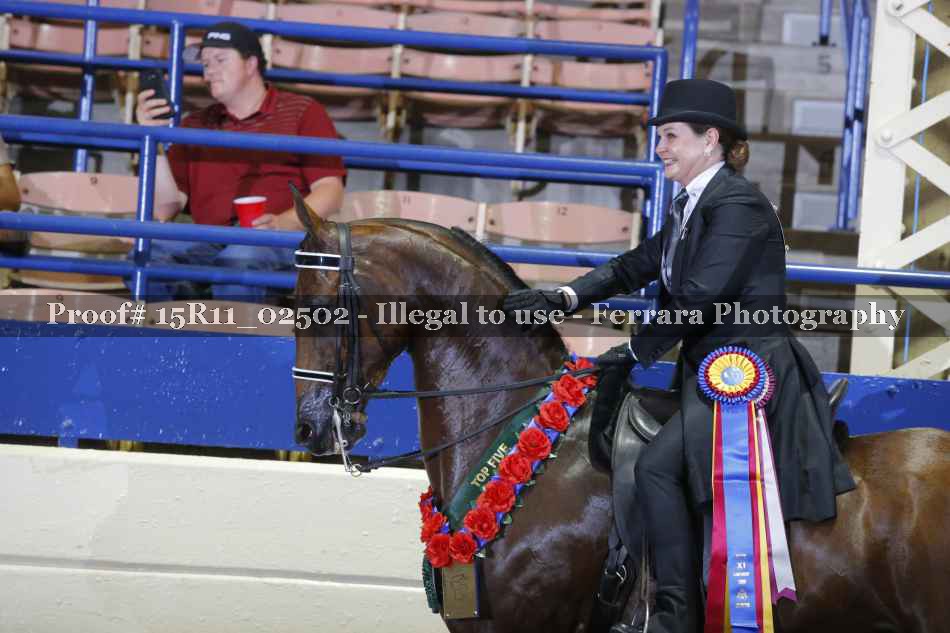 Proof Number 15R11_02502