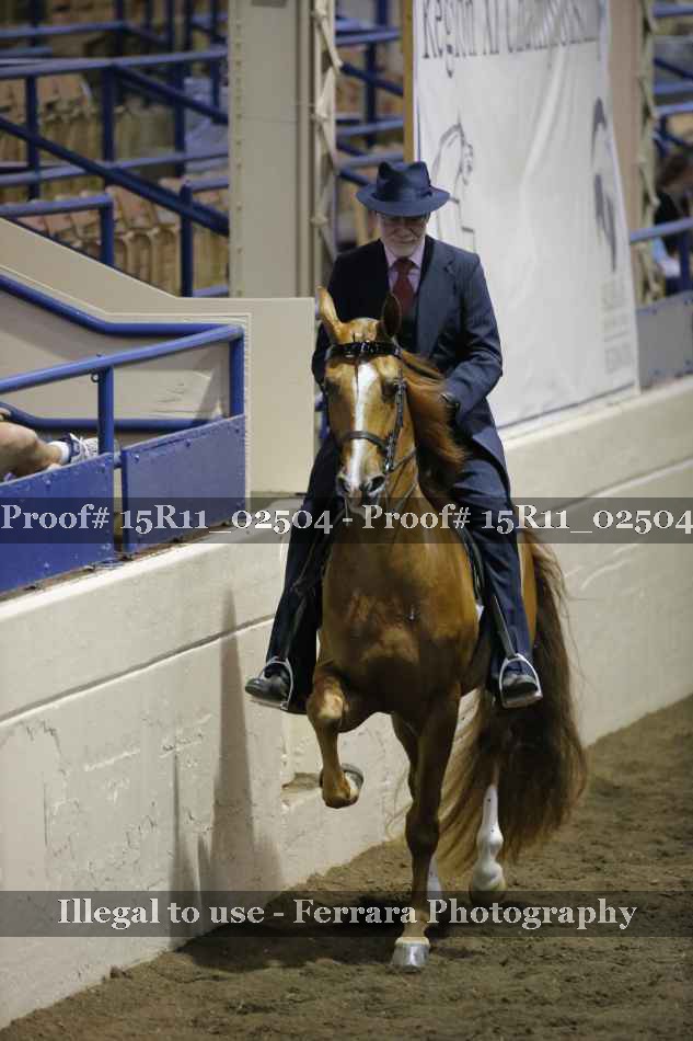 Proof Number 15R11_02504