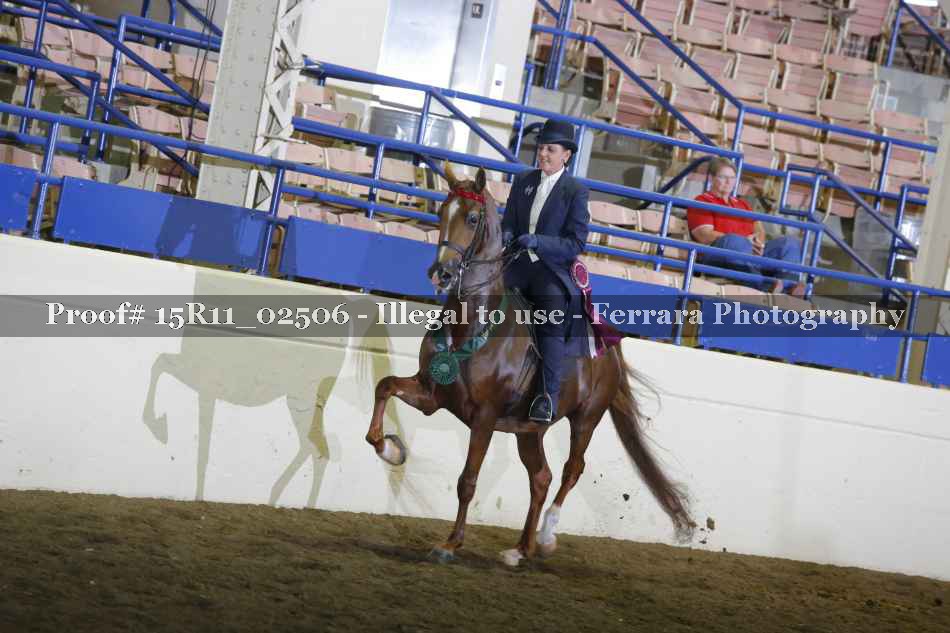 Proof Number 15R11_02506
