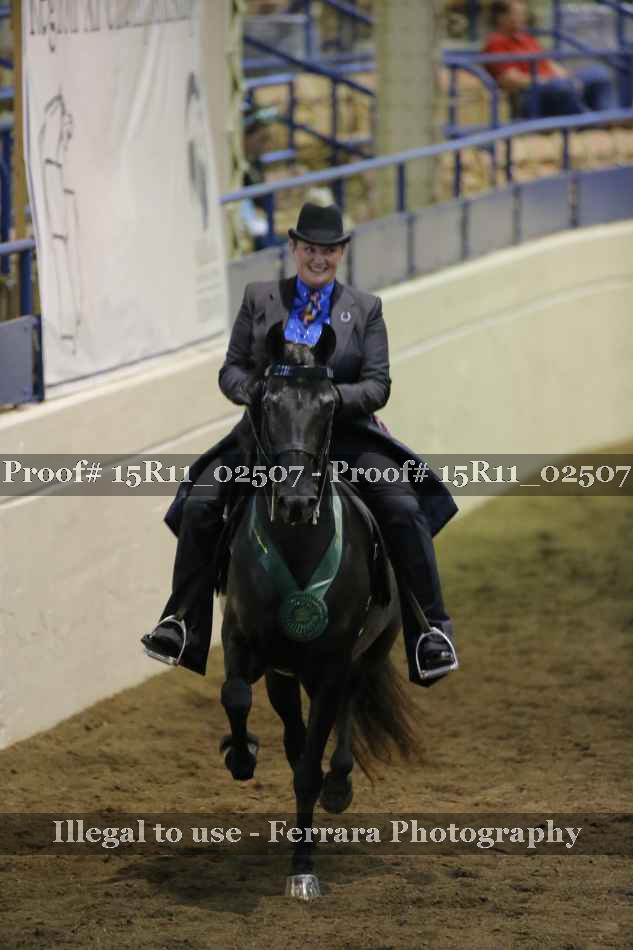 Proof Number 15R11_02507