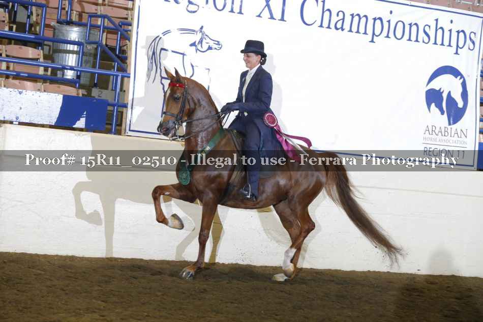 Proof Number 15R11_02510
