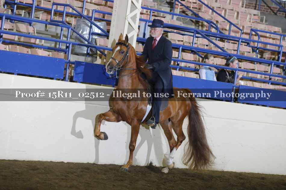 Proof Number 15R11_02512