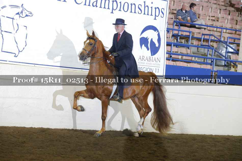 Proof Number 15R11_02513