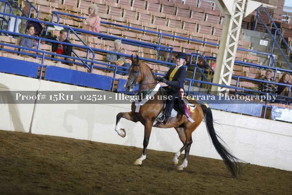 Proof Number 15R11_02521