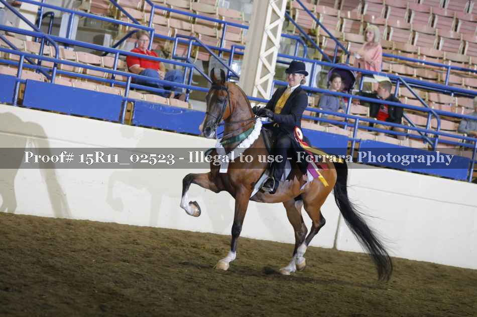 Proof Number 15R11_02523