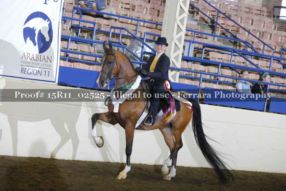 Proof Number 15R11_02525