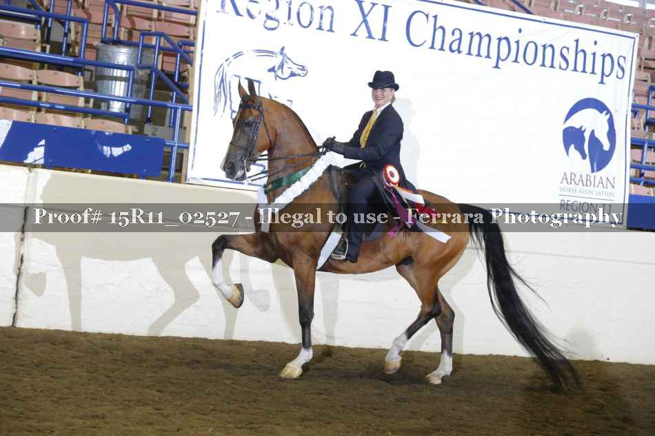 Proof Number 15R11_02527