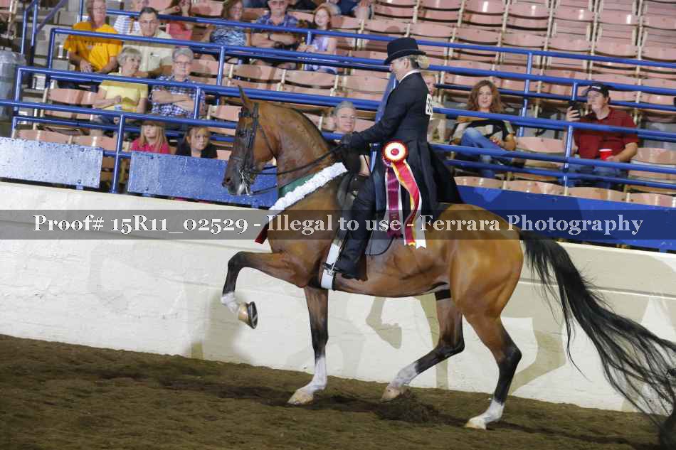 Proof Number 15R11_02529