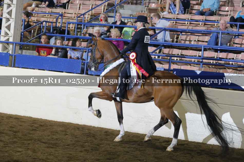 Proof Number 15R11_02530