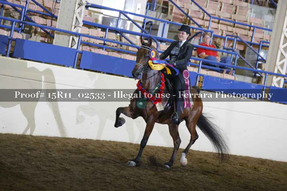 Proof Number 15R11_02533