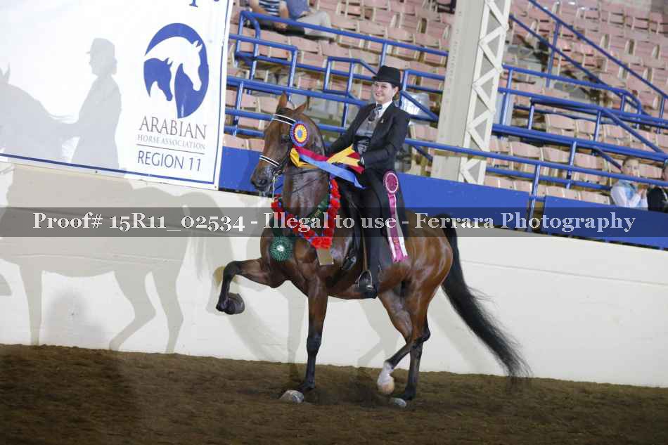 Proof Number 15R11_02534