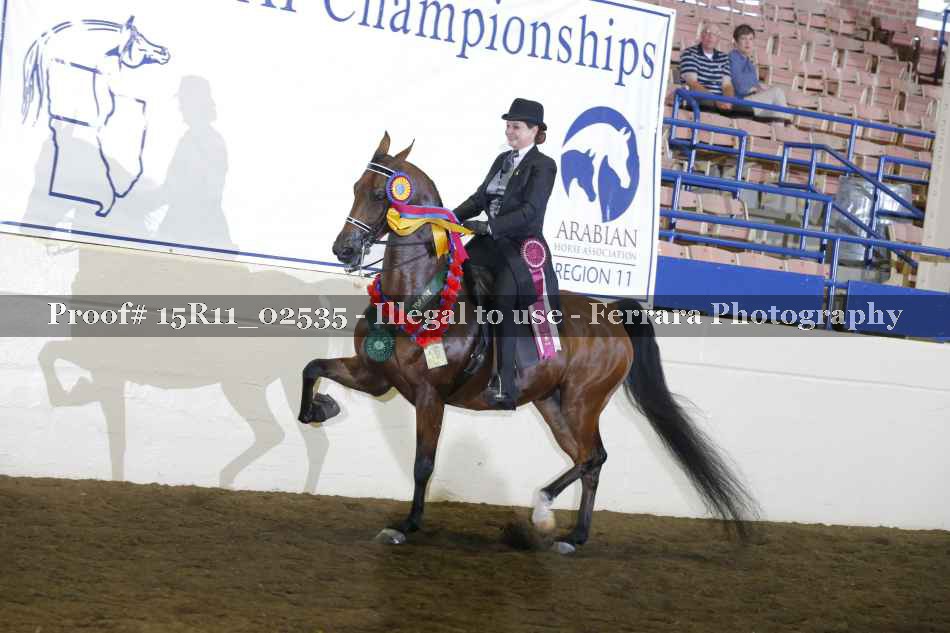 Proof Number 15R11_02535