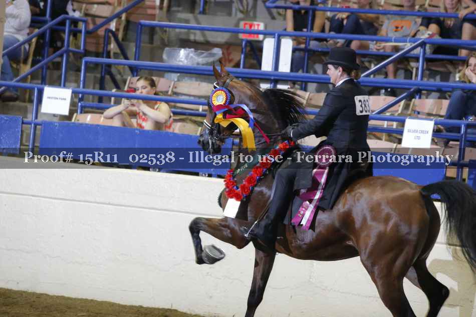 Proof Number 15R11_02538