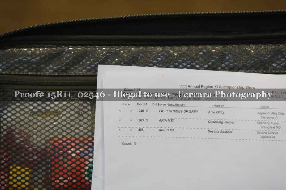 Proof Number 15R11_02546
