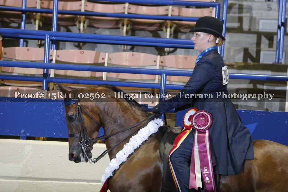 Proof Number 15R11_02562