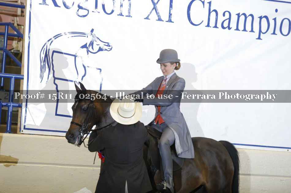 Proof Number 15R11_02564