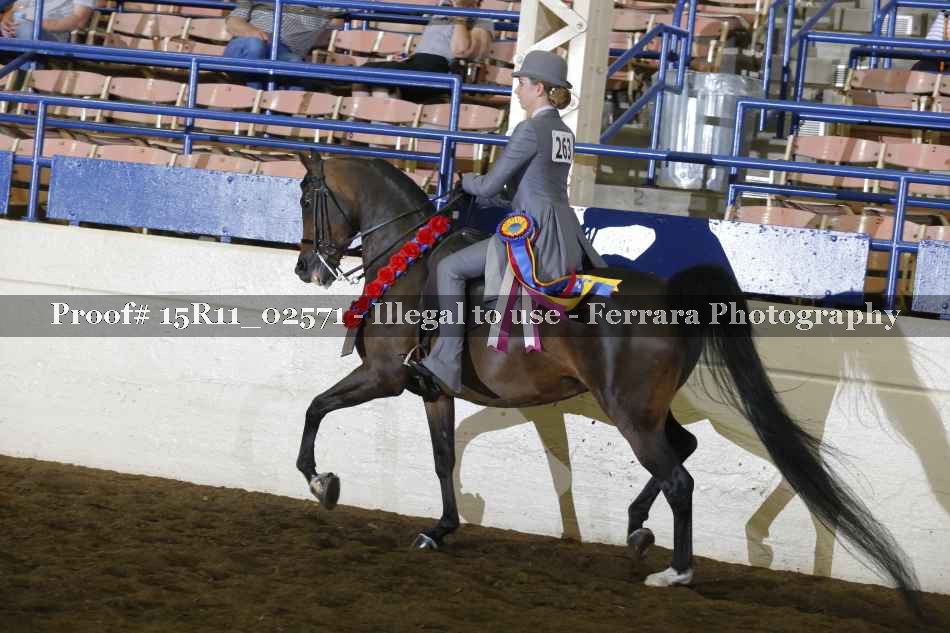 Proof Number 15R11_02571