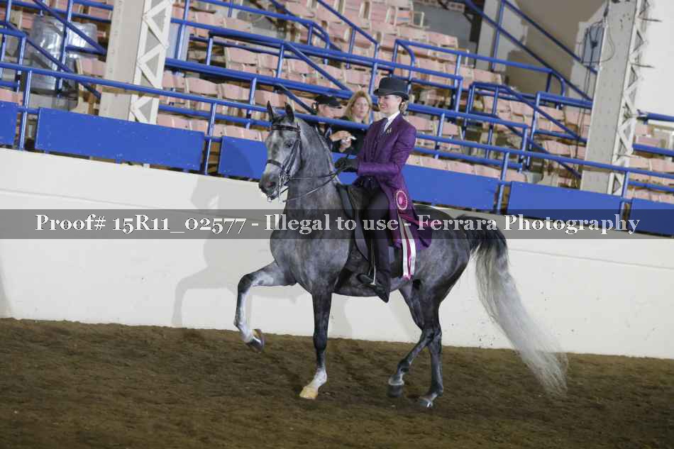 Proof Number 15R11_02577
