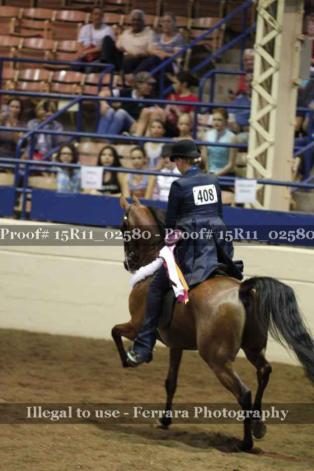 Proof Number 15R11_02580