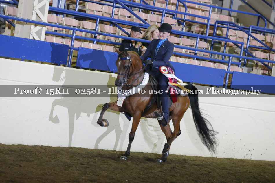 Proof Number 15R11_02581