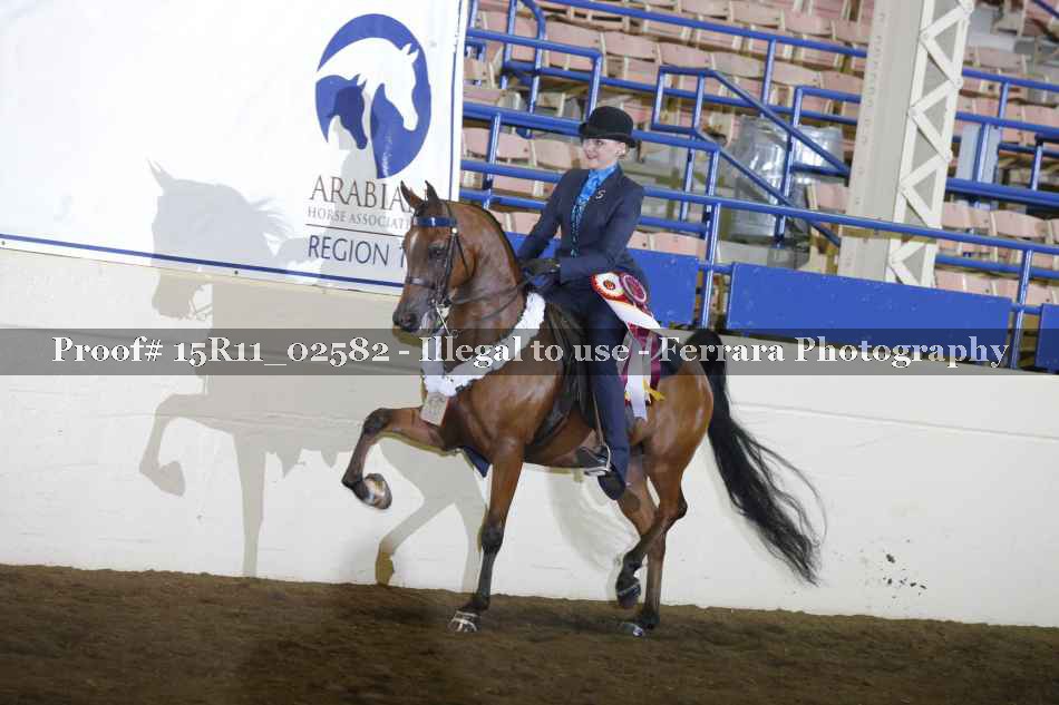 Proof Number 15R11_02582