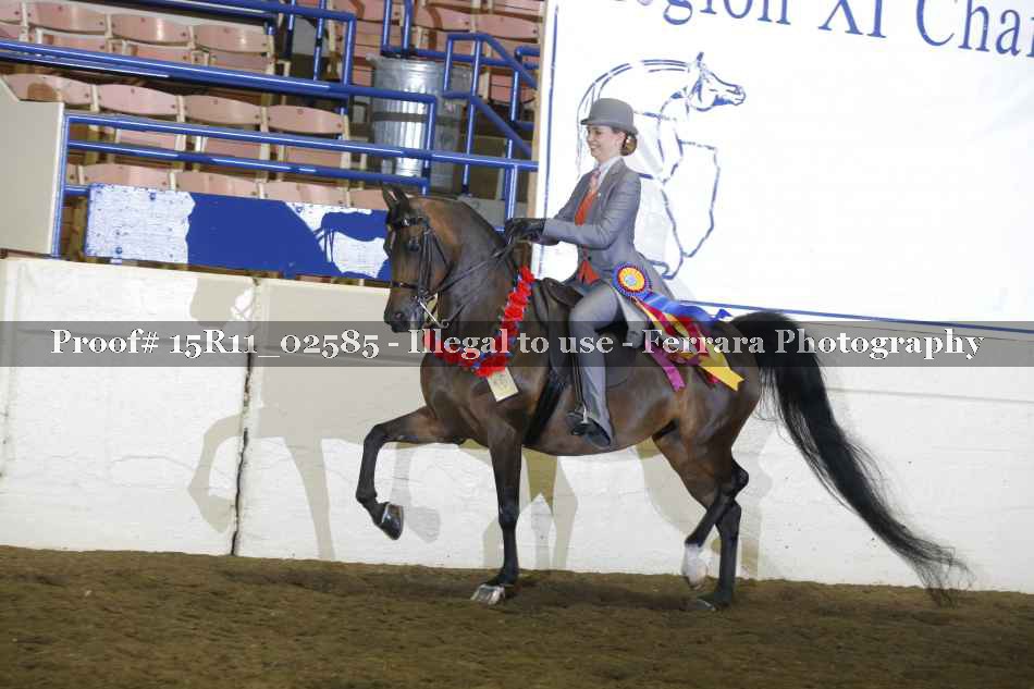 Proof Number 15R11_02585