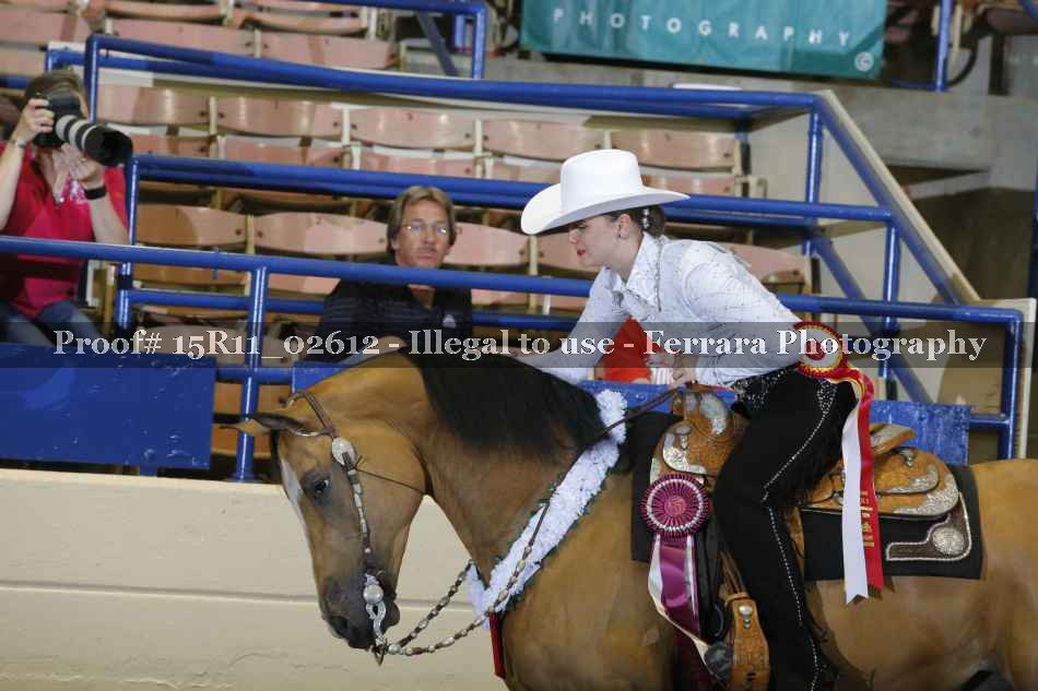 Proof Number 15R11_02612