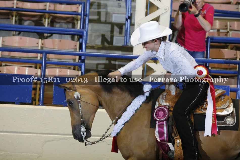 Proof Number 15R11_02613
